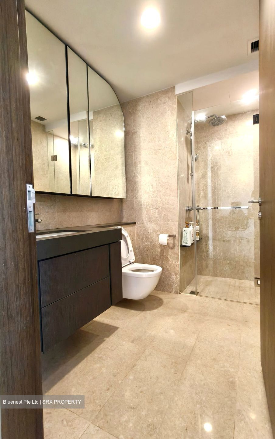 Avenue South Residence (D3), Apartment #451229401